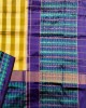 POCHAMPALLY PATTU SAREE